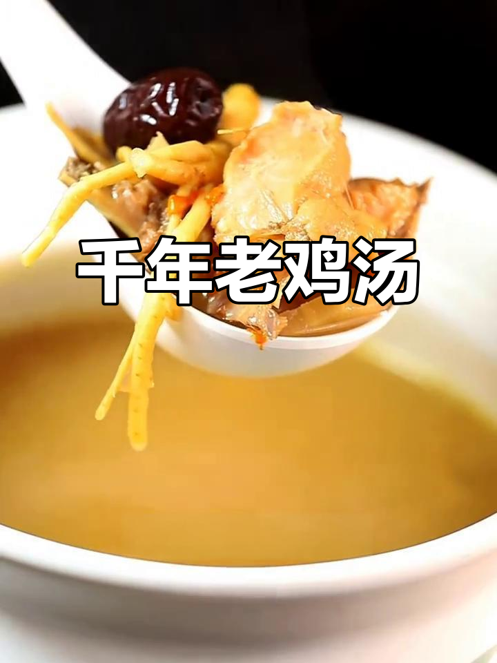 千年老鸡炖汤,滋补养生全家人都爱喝