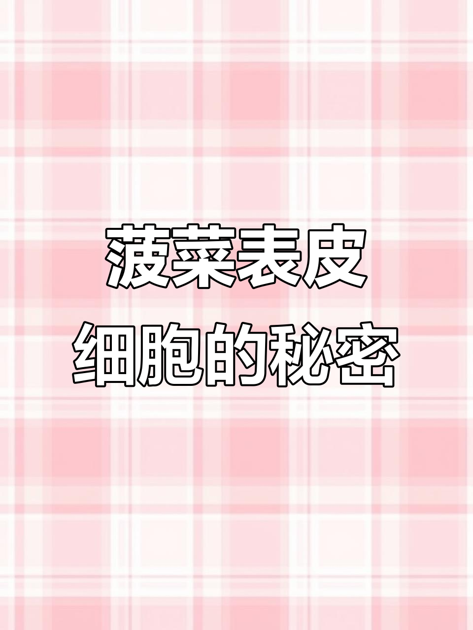 显微镜下看菠菜的奇妙结构，细胞如何保护与呼吸？