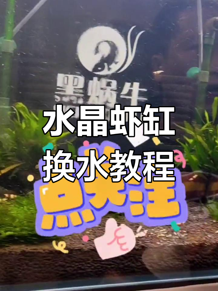 水晶虾缸换水技巧,保持水质健康
