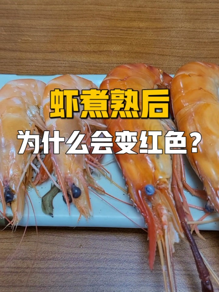 为什么虾煮熟后会变红色?