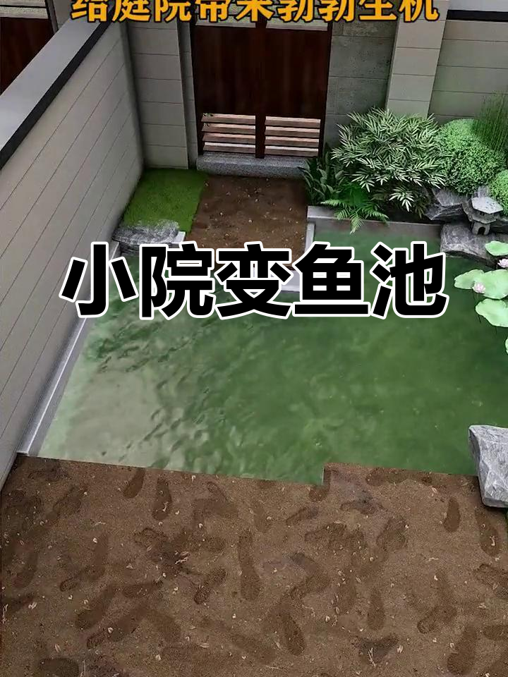 小院子也能打造大鱼池,中式庭院设计让生活更美好