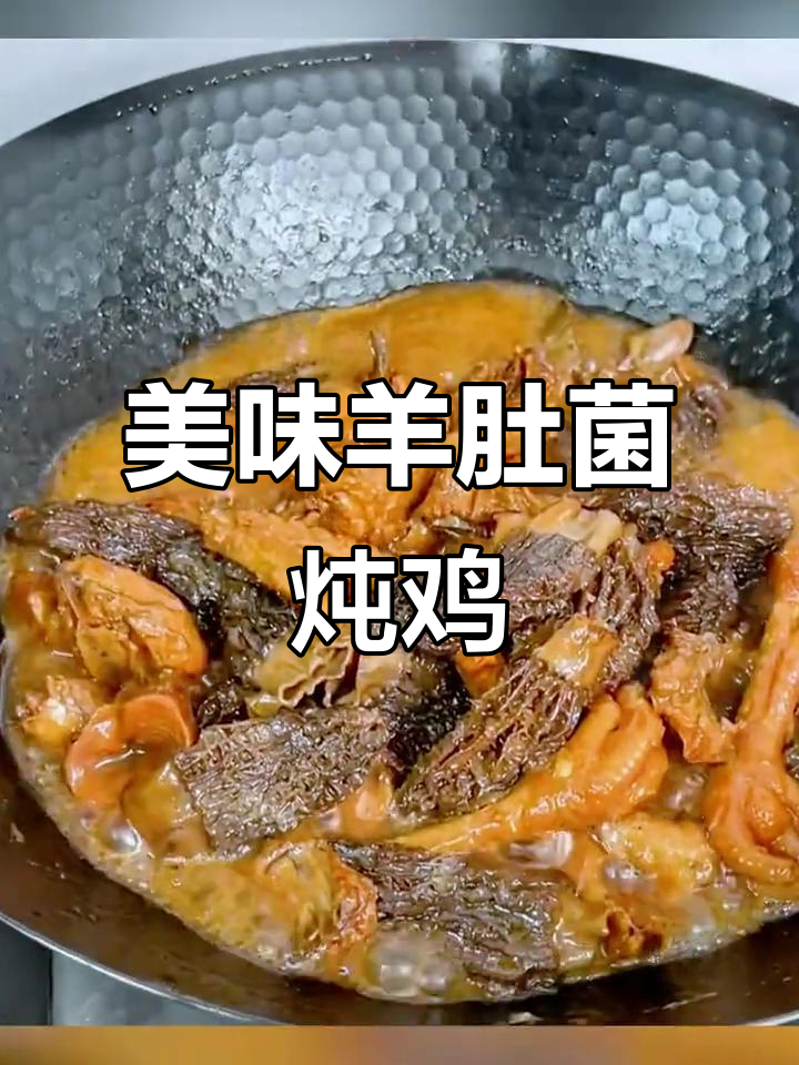 羊肚菌炖鸡,汤浓味美,鸡肉嫩滑,吃一次就停不下来!