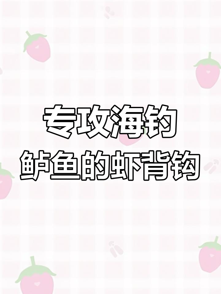 海钓鲈鱼必备钩,轻松捕捉猎食性鱼类