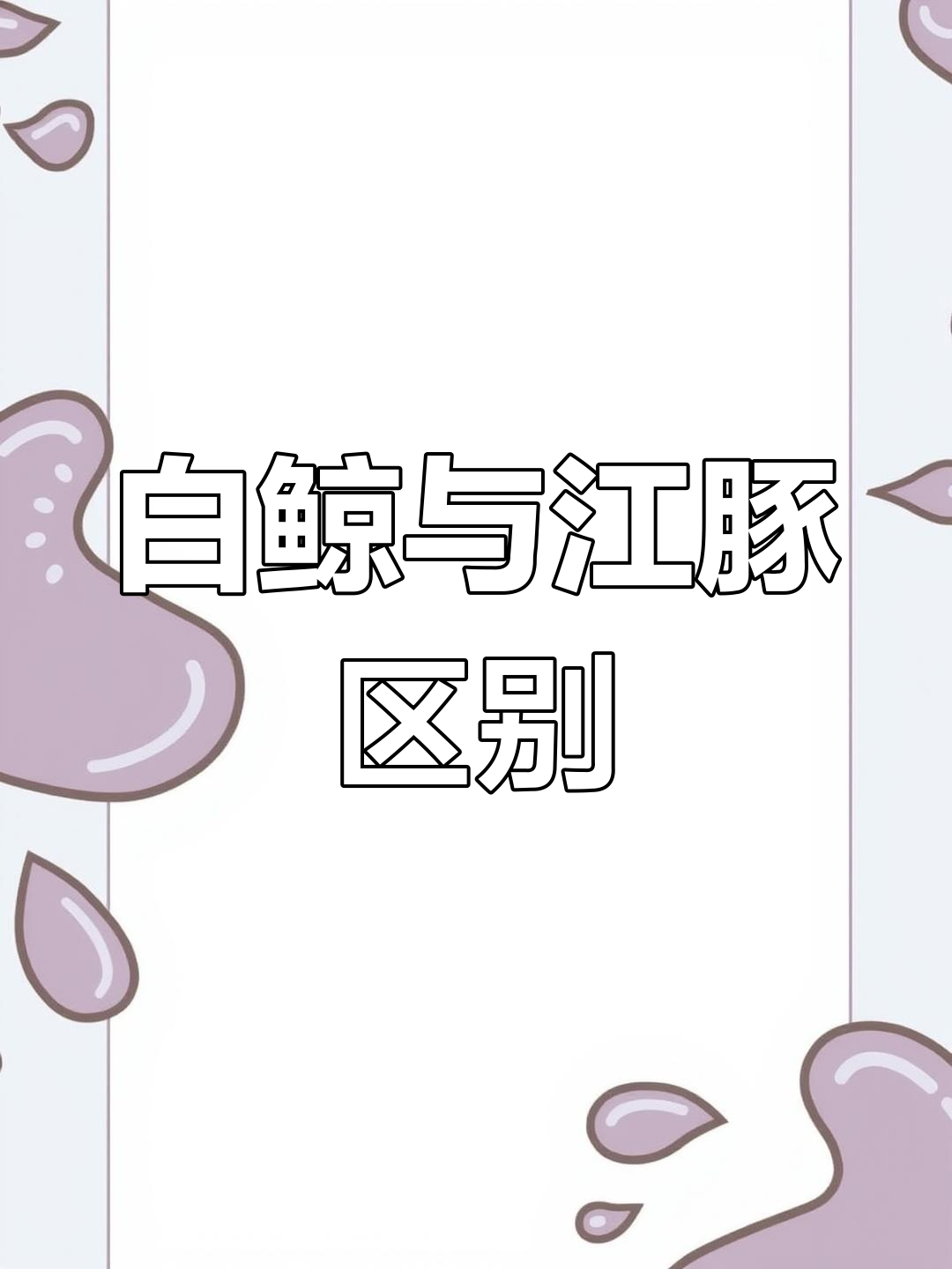 江豚和白鲸的区别,你了解吗?
