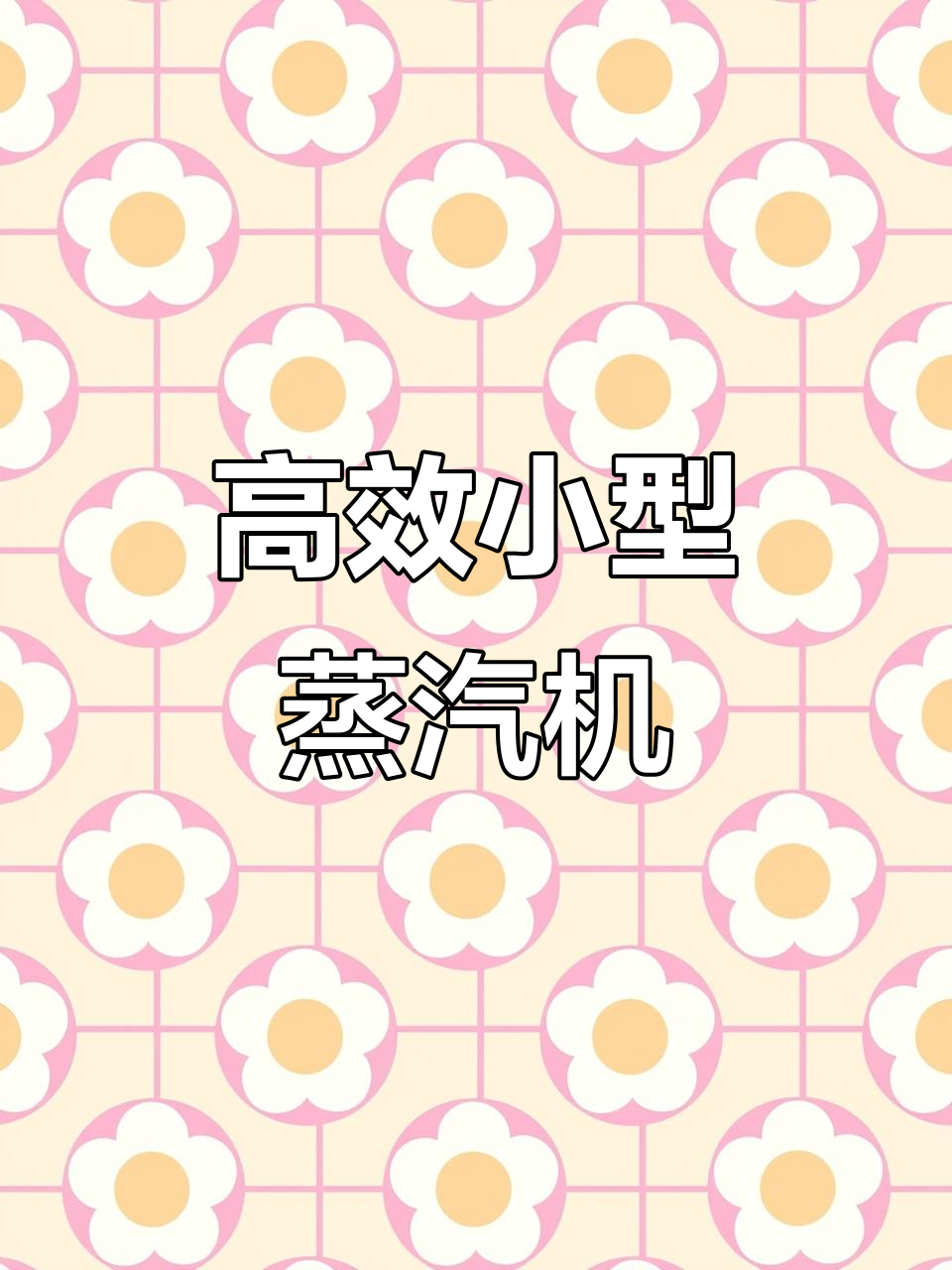 小型蒸汽发生器:快速出蒸,功能多样