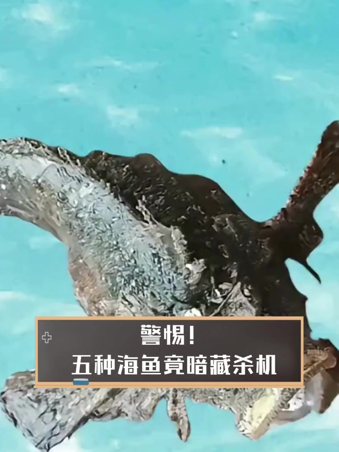 警惕!五种海鱼竟暗藏杀机