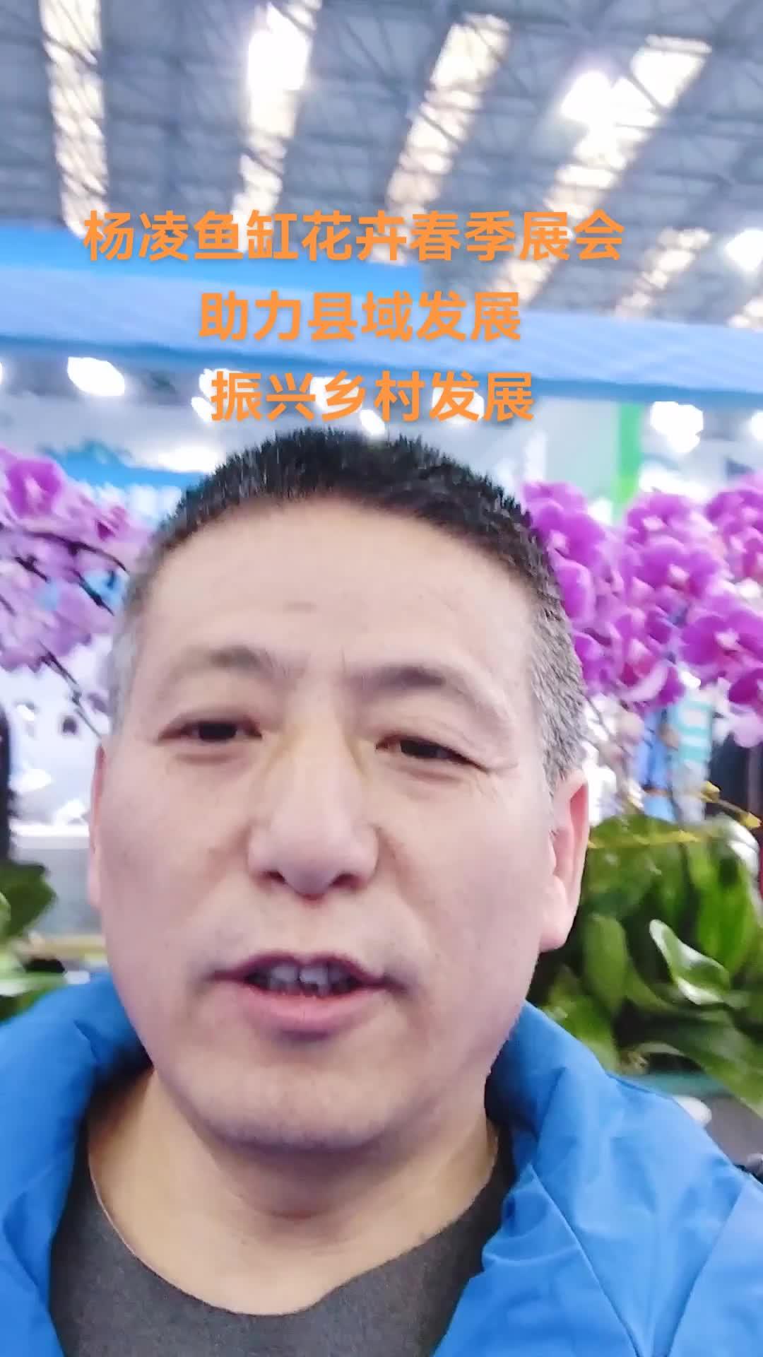 杨凌鱼缸展会第一天 杨凌县域经济 杨凌乡村CEC C杨凌返乡创业 展会现场