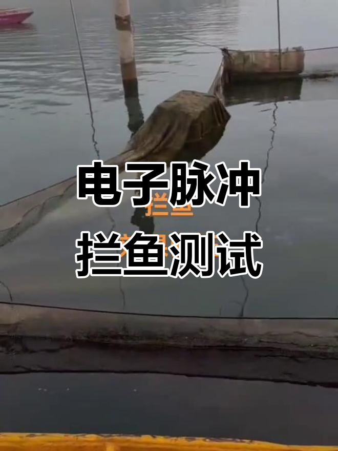 电子脉冲拦鱼机效果实测,鱼儿被轻松拦截