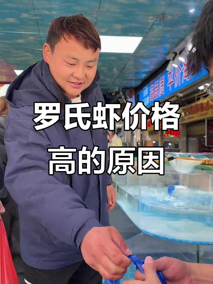 昆明罗氏虾为何如此昂贵?揭秘品质背后的秘密