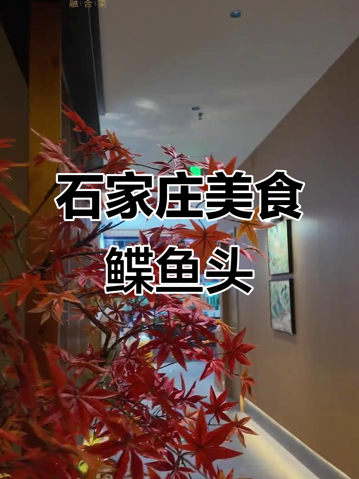石家庄桥西区聚餐推荐,鲽鱼头美味不容错过