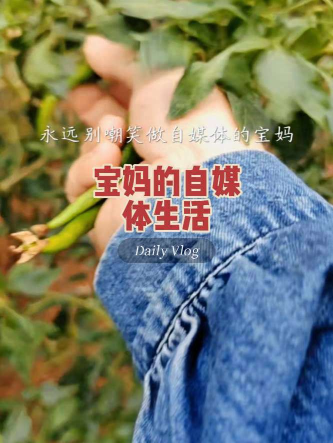 今日份接单美食:胡萝卜土豆丝炒肉 永远别嘲笑做自媒体的宝妈,她们拍的不是视频,是普通人在生