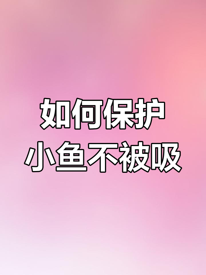 防止迷你鹦鹉鱼被吸的技巧