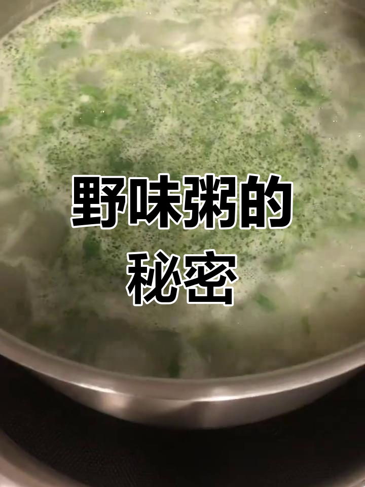 野生灯盏菜煮粥,外地人可能没见过!