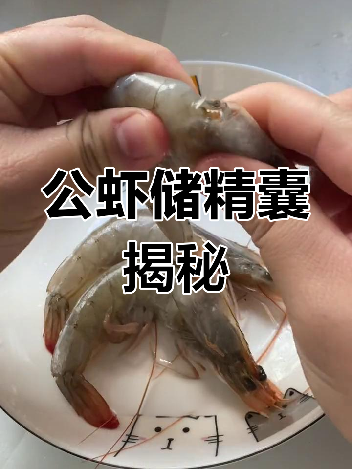 虾头里的白色物质是什么?