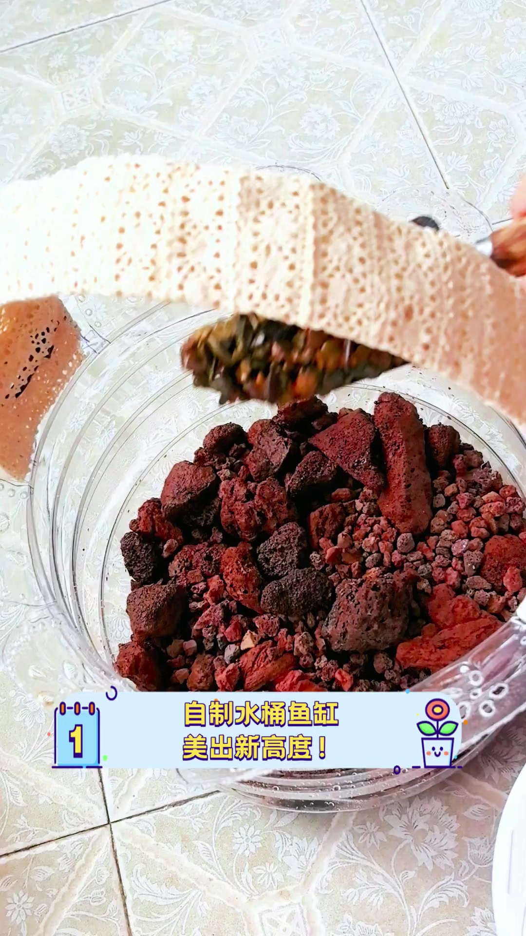 自制水桶鱼缸,美出新高度!