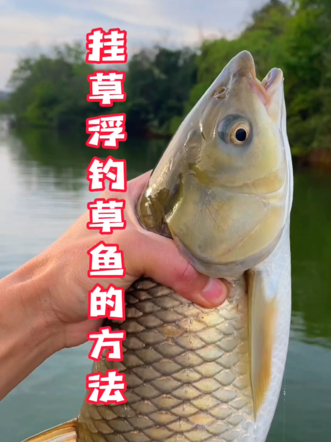 挂草浮钓草鱼的方法