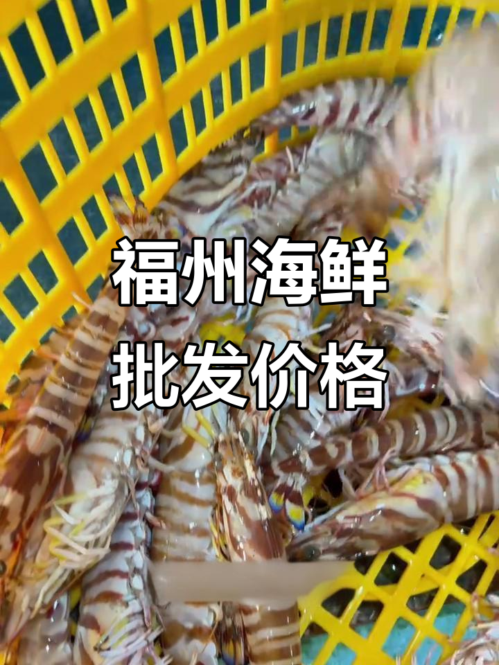 福建海鲜市场1月13日批发行情,帝王蟹白菜价!