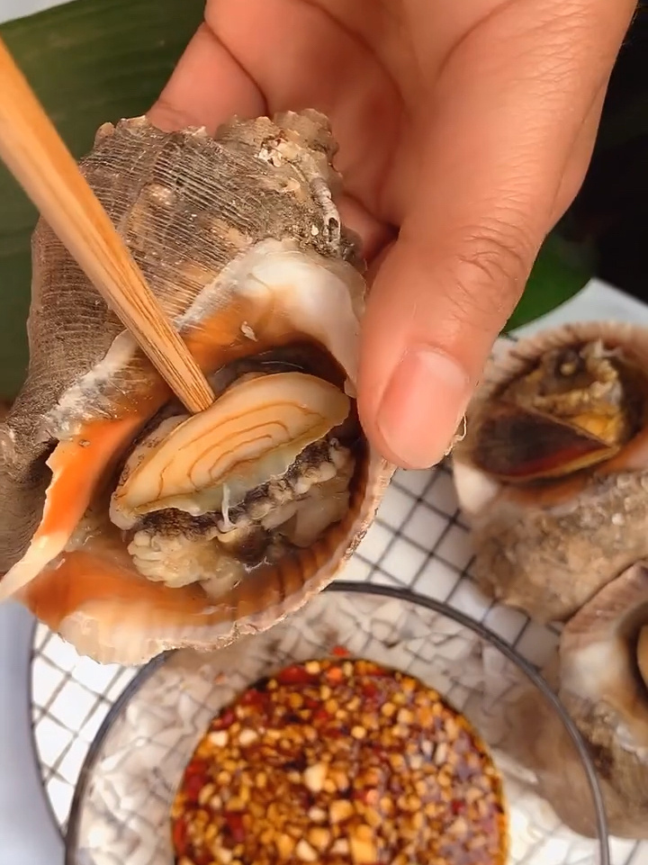 海螺肉哪里能吃哪里不能吃