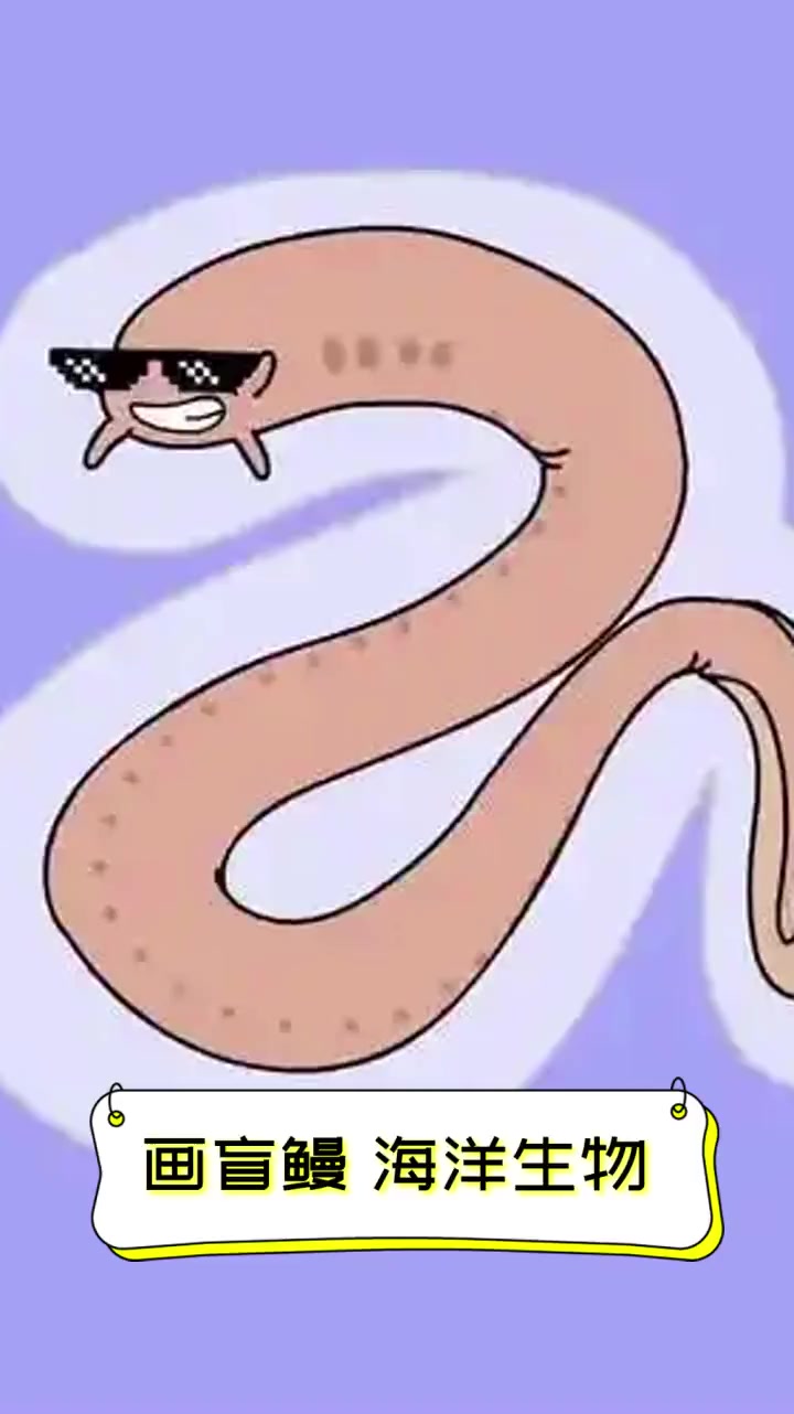 画盲鳗,海洋生物