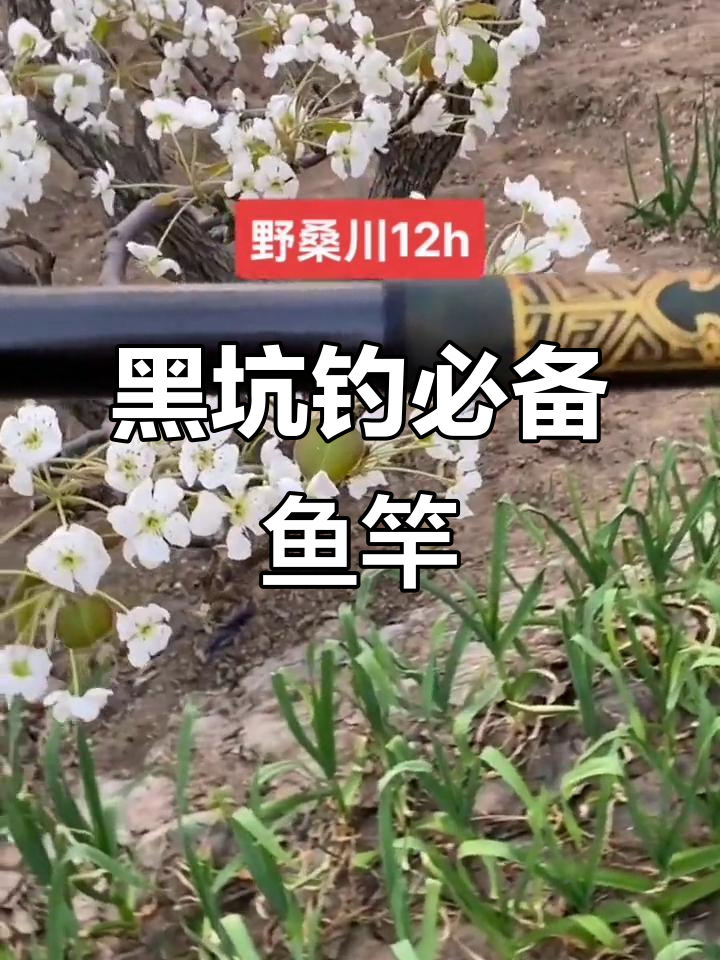 野桑川极飞磕专用鱼竿,黑坑钓鱼必备神器