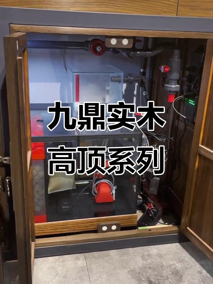 九鼎实木高定系列:龙纹门板与超白鱼缸完美结合
