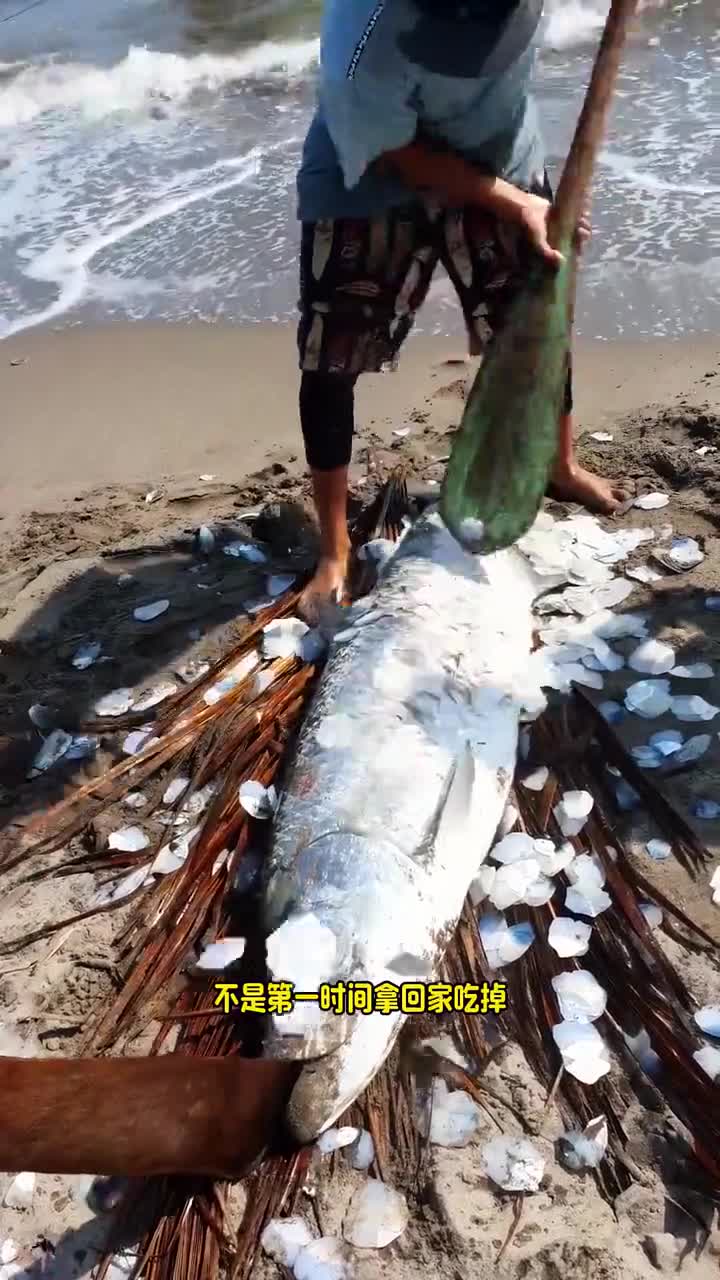 钓上来的大鱼为何要先剔除鱼鳞?科普世界