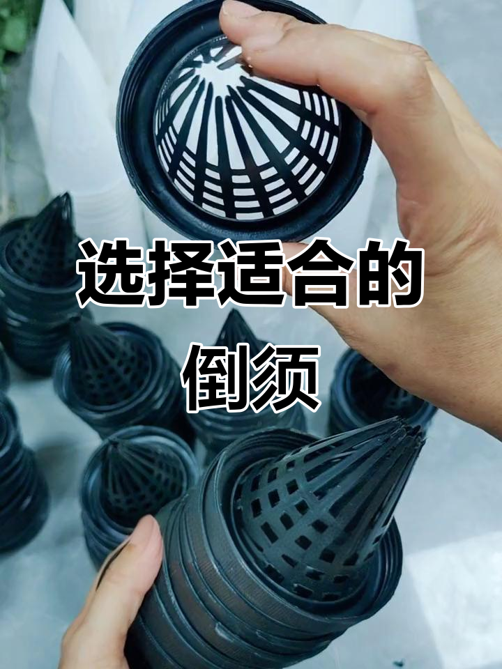 1.5升矿泉水瓶倒须选择指南,轻松抓泥鳅!