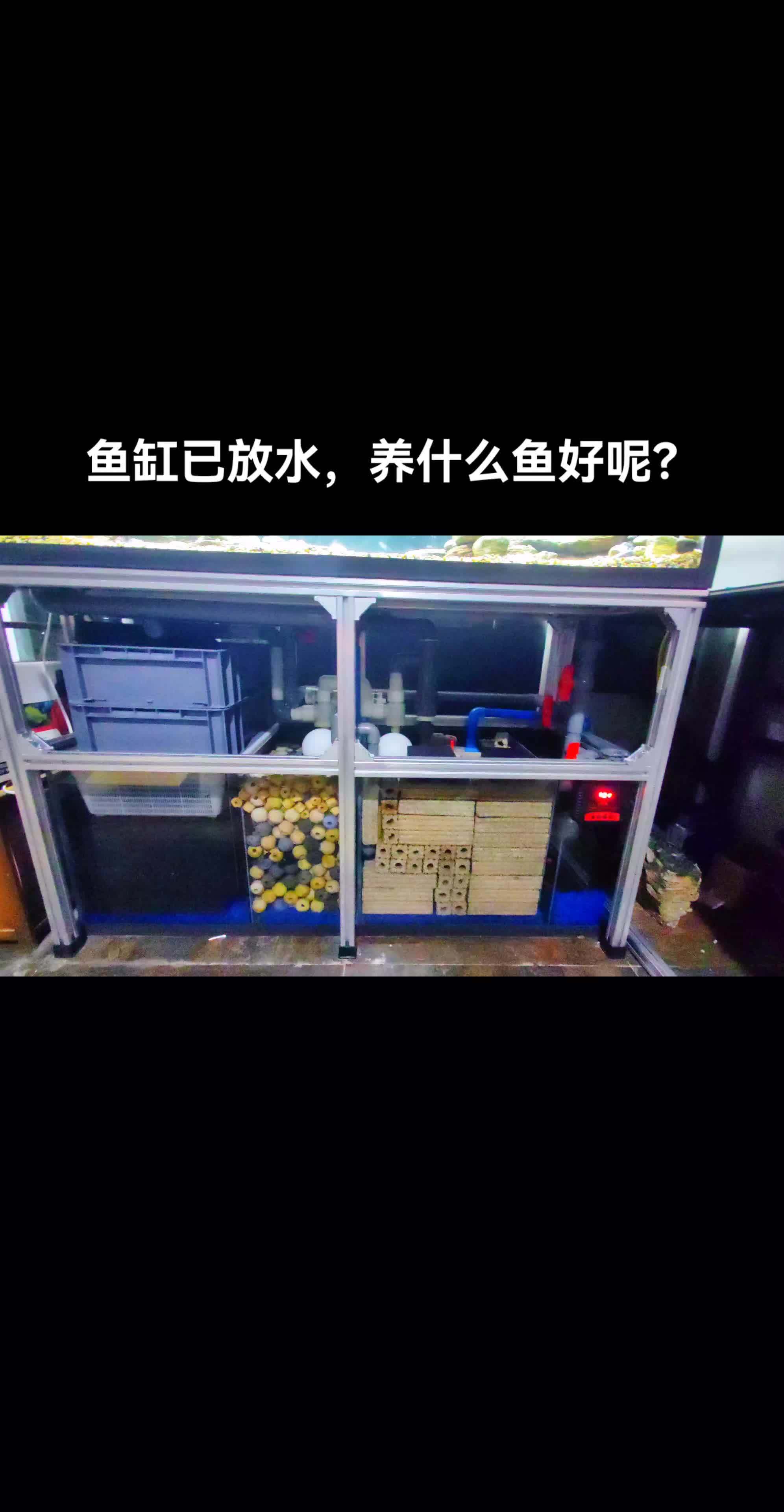 玻璃钢自己粘的,架子拆了兰花架组装的,滤材拿了锦鲤鱼池过滤仓里面的,管件网上买的,水泵筒灯