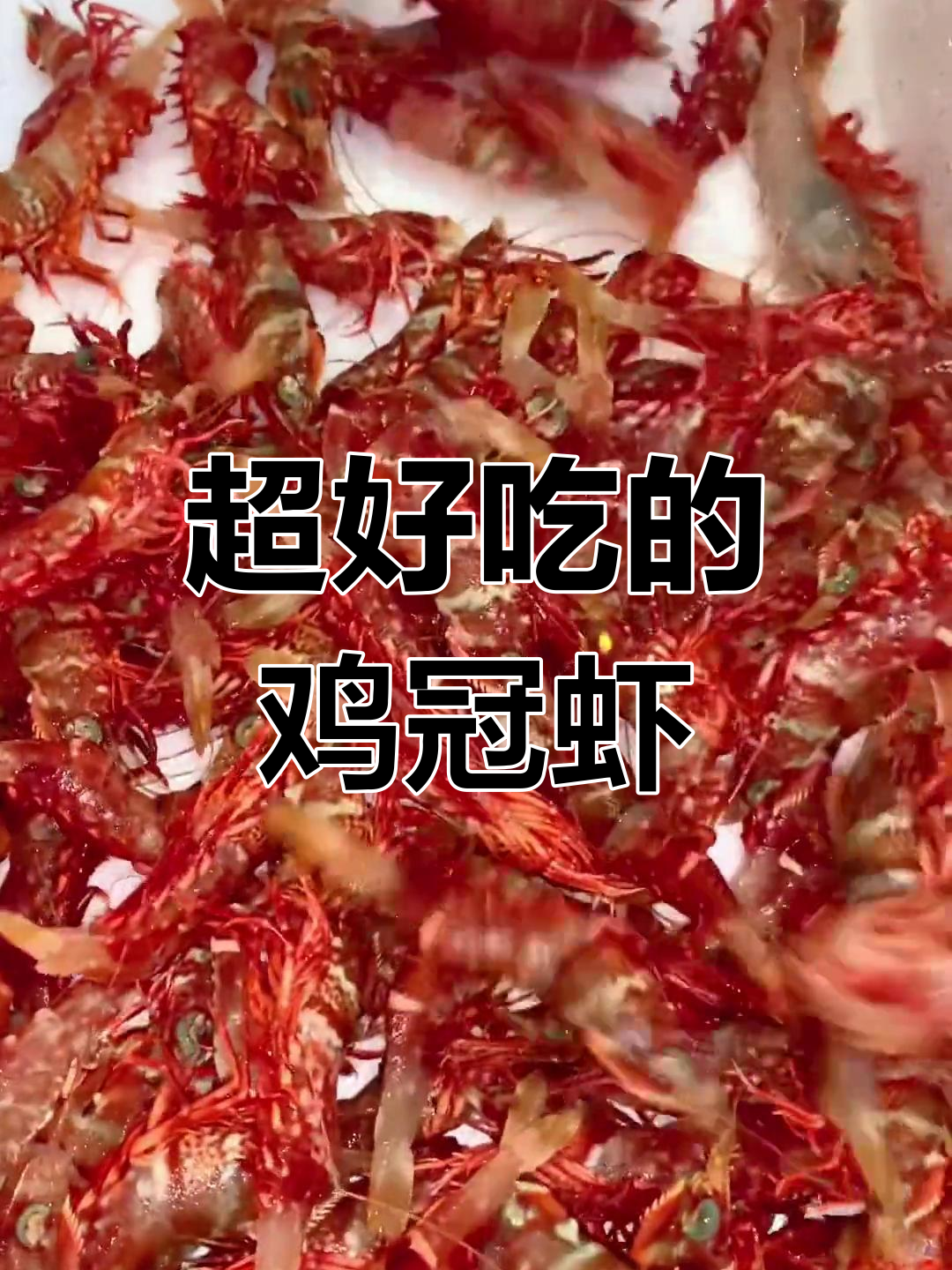 鸡冠虾:美味又漂亮的海鲜,你尝过吗?