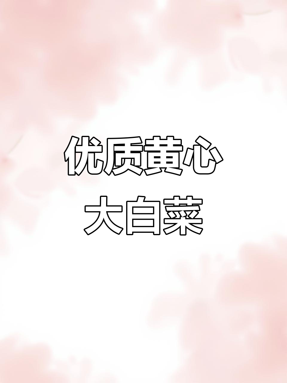 黄心大白菜,甜美又高产,阳台小院都能种