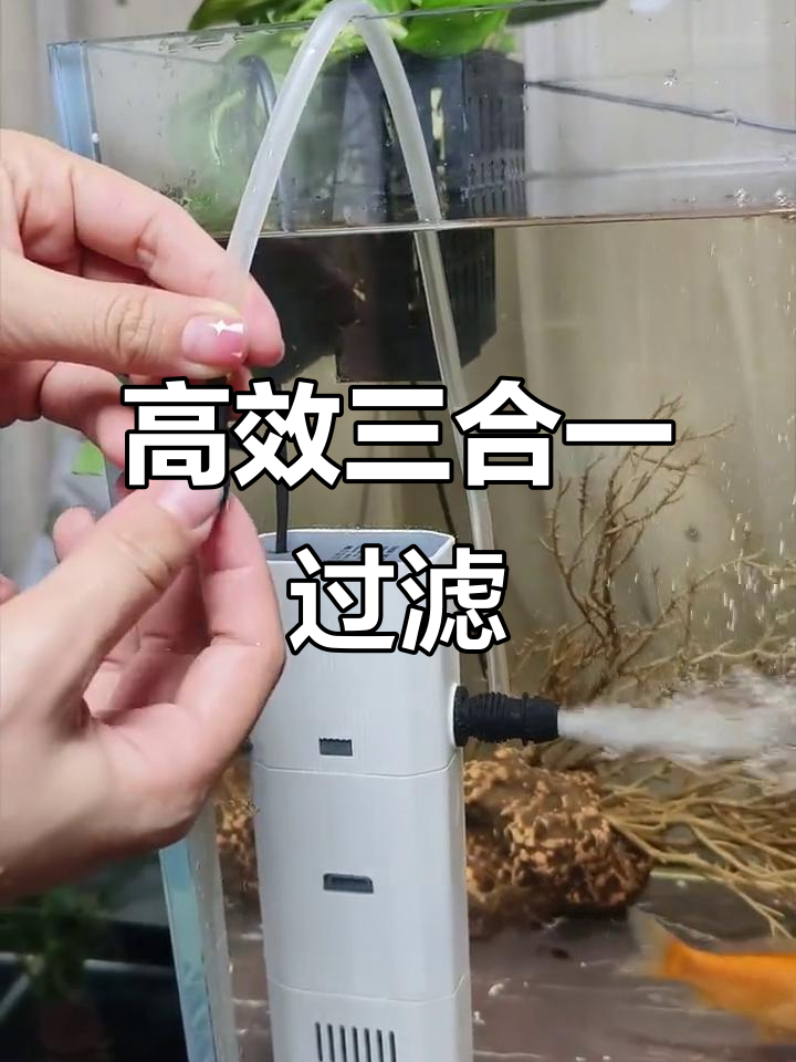 三合一过滤器，增氧抽水两不误，鱼缸水质轻松搞定