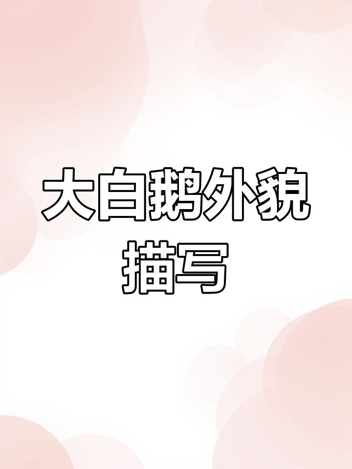 看图写话轻松学,大白鹅的外貌描述