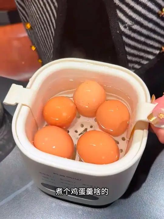多功能蒸蛋煮蛋器 全自动预约早餐机家用迷你蒸蛋器自动断电
