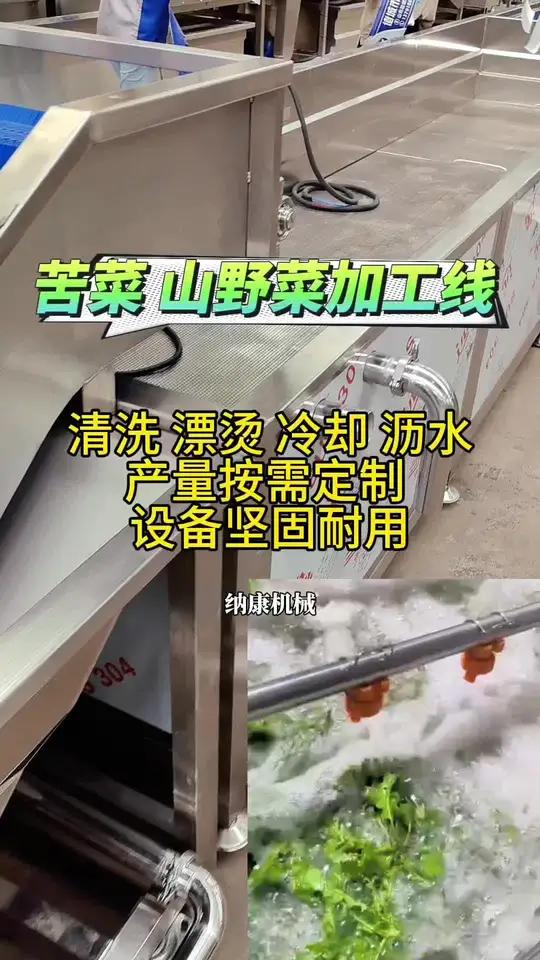 山野菜加工流水线 苦菜加工设备 纳康机械 **分拣-清洗-漂烫-冷却线**  采用全自动化
