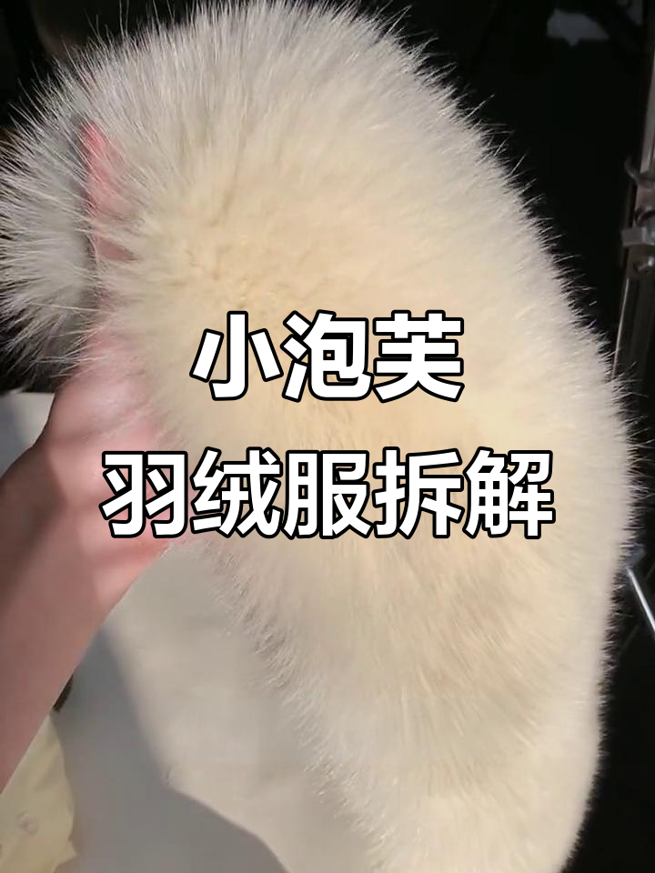 冬季保暖必备!小泡芙羽绒服拆解大揭秘,九零白鸭绒超蓬松