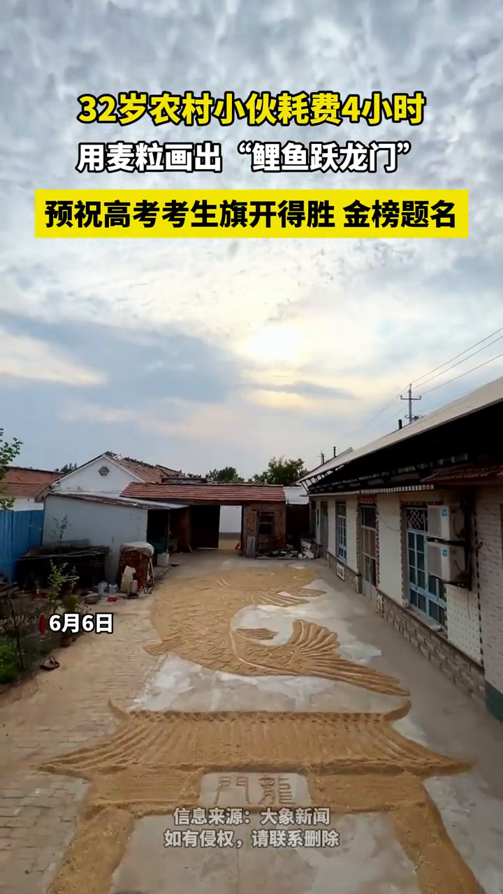 32岁农村小伙耗费4小时 用麦粒画出“鲤鱼跃龙门”