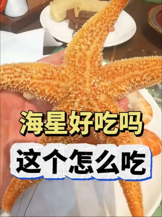 海星好吃吗?真不怎么好吃 聊胜于无 吃货搞笑上海话海星怎么吃海星