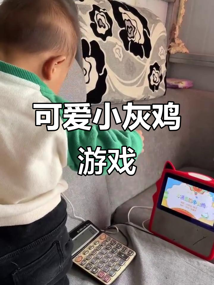 小灰鸡和小公鸡的趣味儿歌,玩得不亦乐乎
