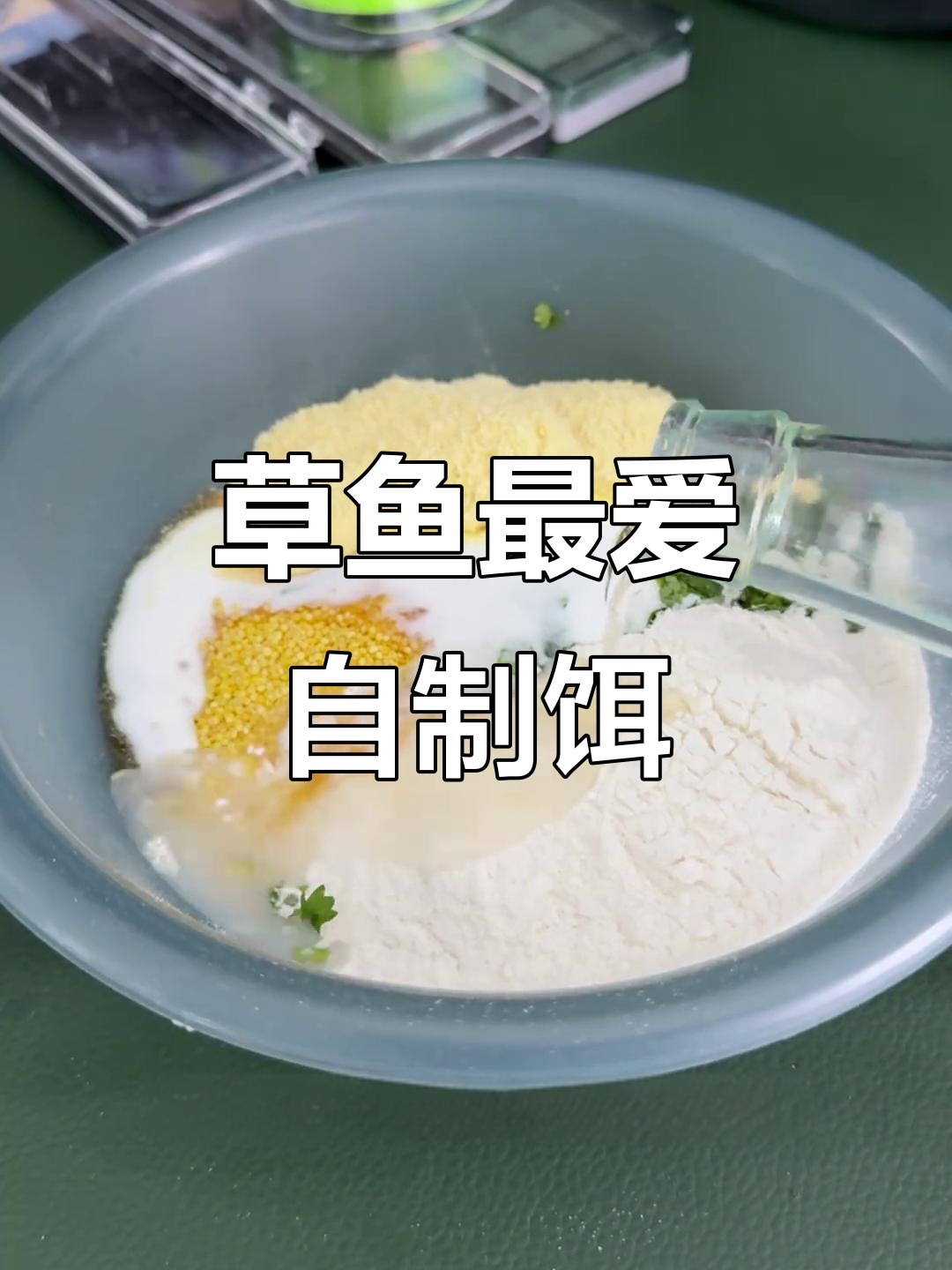自制草鱼饵料大揭秘，香菜、玉米渣等搭配钓获满满