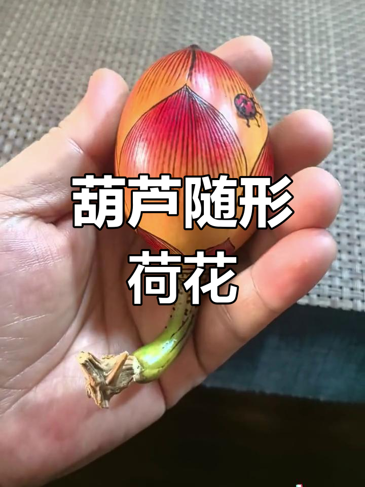 葫芦烙画荷花,手把件的艺术魅力
