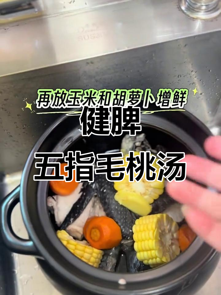 五指毛桃牛大力土茯苓乌鸡汤，滋补又祛湿