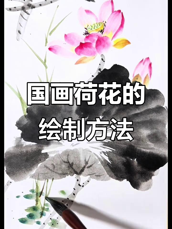 写意荷花画法全解析:从花瓣到荷叶,轻松掌握国画技巧