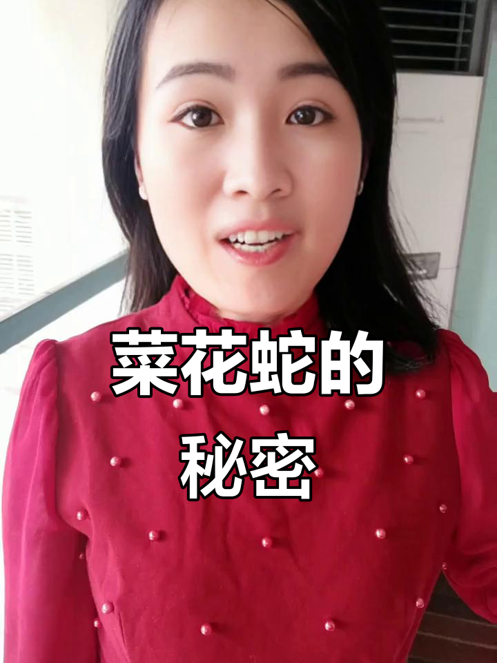 菜花蛇别名是什么?遇到它最好绕道走,气味难忍!