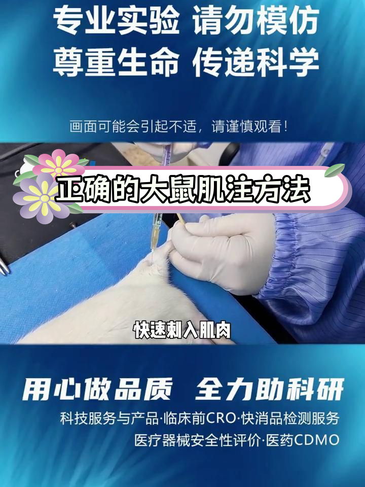 大鼠肌肉注射技巧,避免常见错误