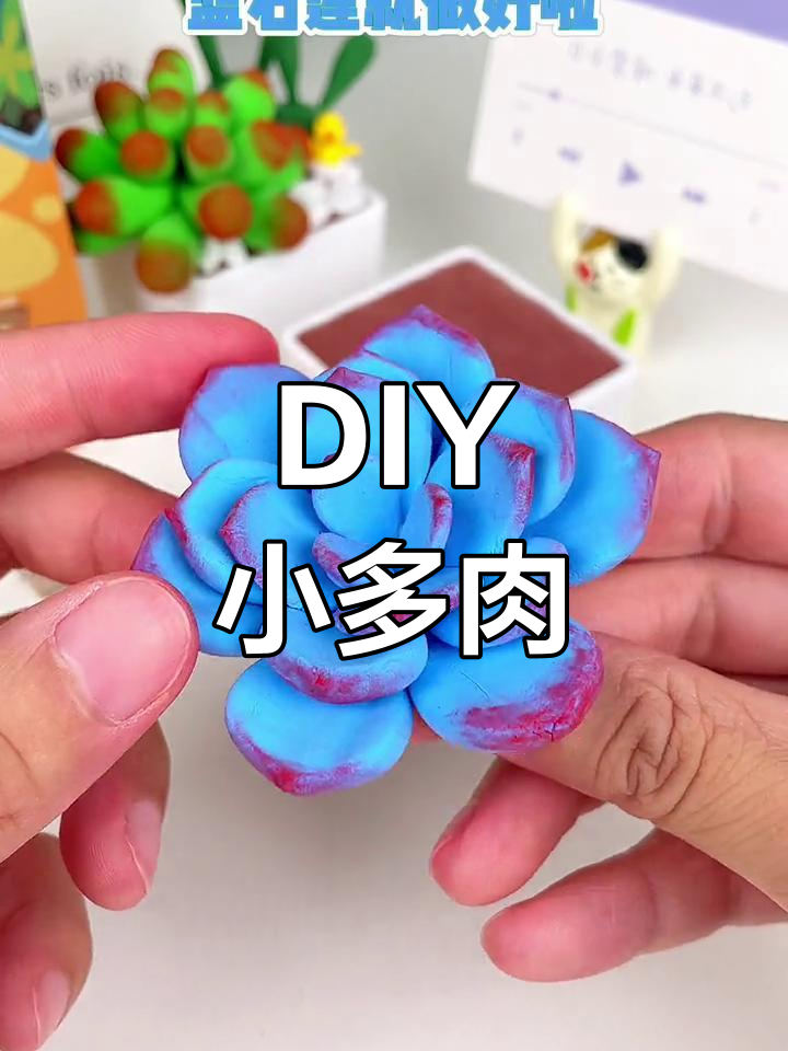 迷你多肉植物手工制作,亲子互动乐趣无穷
