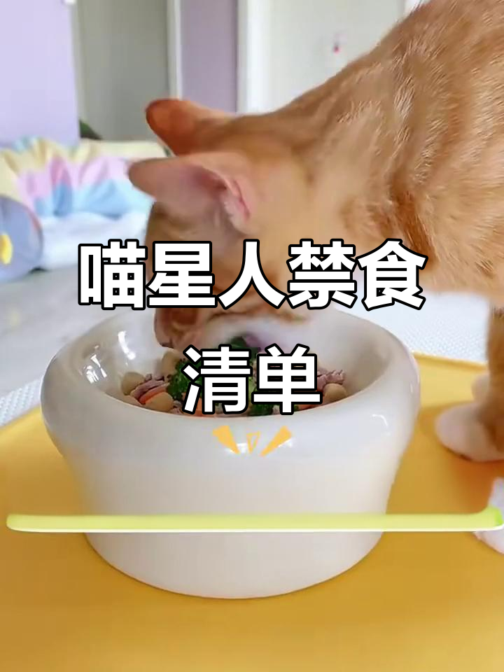 猫咪绝对不能碰的致命食物,巧克力、洋葱和葡萄都在黑名单上