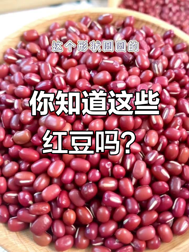 红豆品种大揭秘,哪种最适合你?