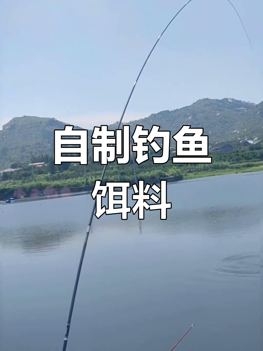 野钓鲤鱼草鱼的绝佳饵料配方,轻松制作效果惊人