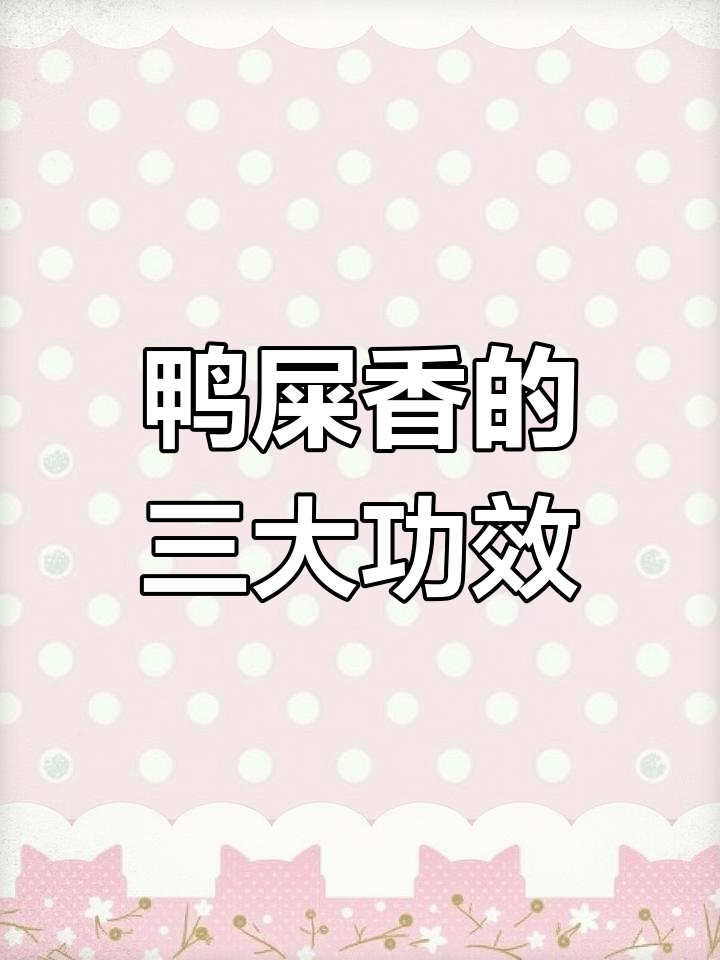 鸭屎香茶的功效与特点,减肥提神效果显著