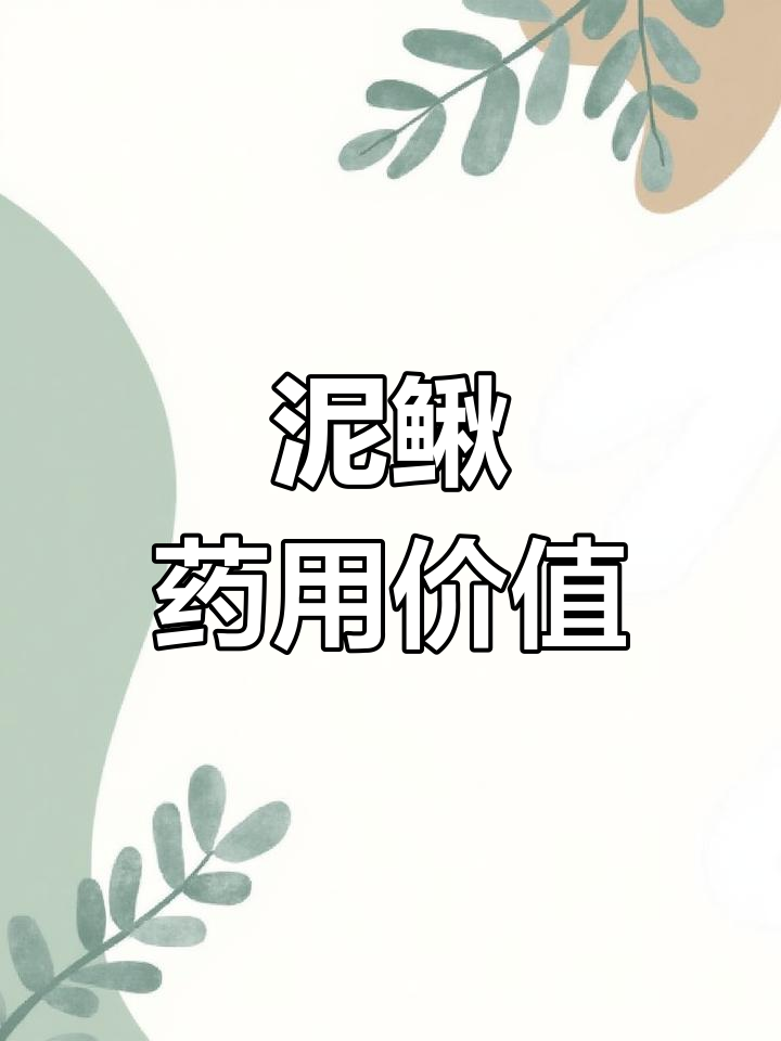 泥鳅的药用功效与作用